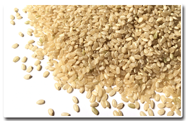 ツリーハウス【滋賀 竜王cafe mocomoco】